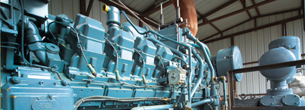 Powering ahead with biogas in the UK and Europe