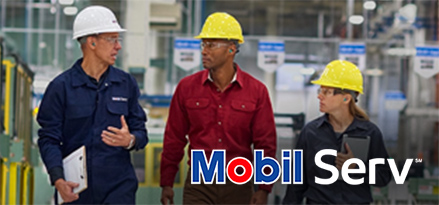 Mobil Serv Service für Gasmotoren