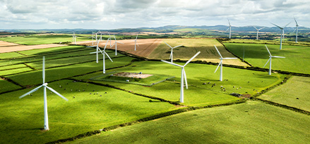 Windturbinen auf Grasflächen