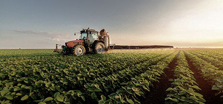 Traktor mitten auf einem Feld